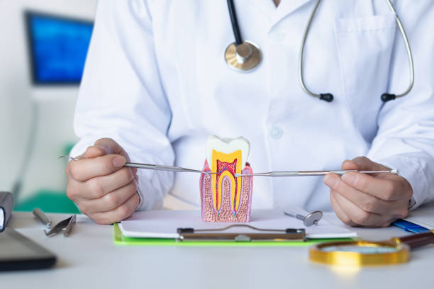 Best 24-Hour Emergency Dental Care in Wilson, OK